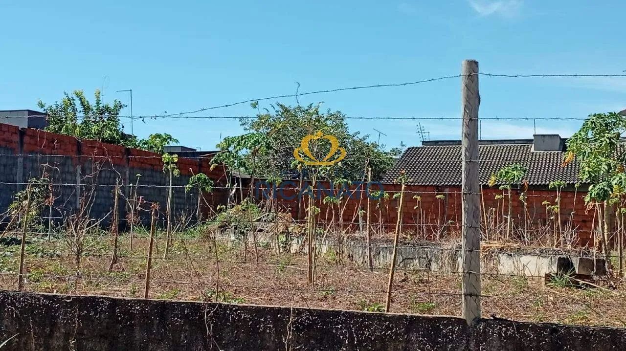 GALPÃO COMERCIAL EM TAQUARALTO - Foto 5