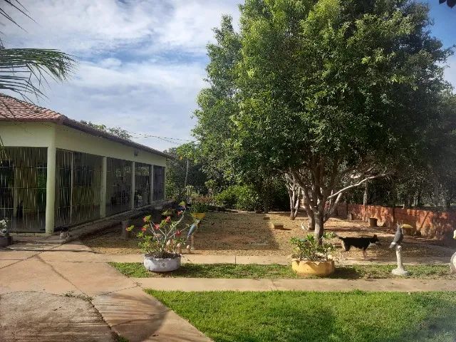 Vendo linda Chácara/Sitio de 6,5 Alqueires em Novo Acordo -Tocantins - Foto 3
