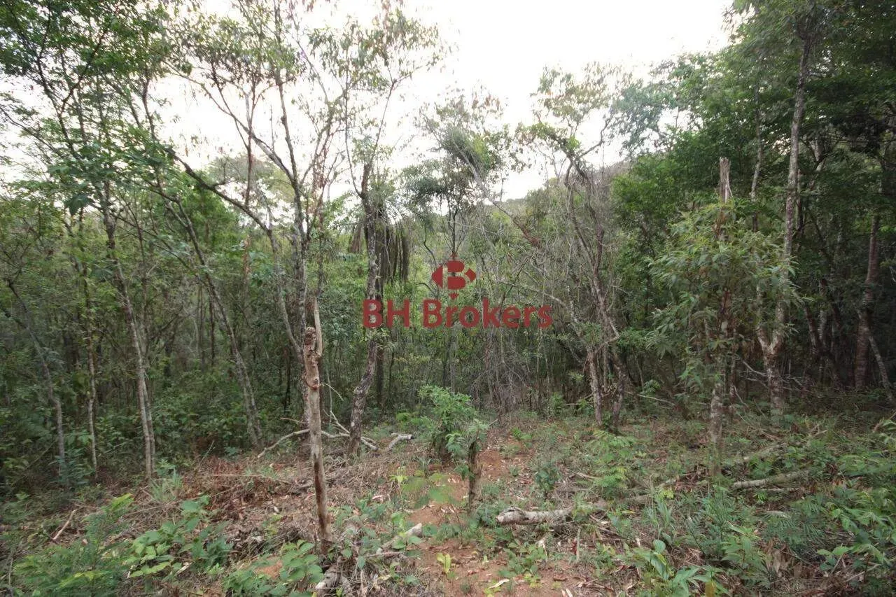 LOTE À VENDA NO CANTO DA MATA