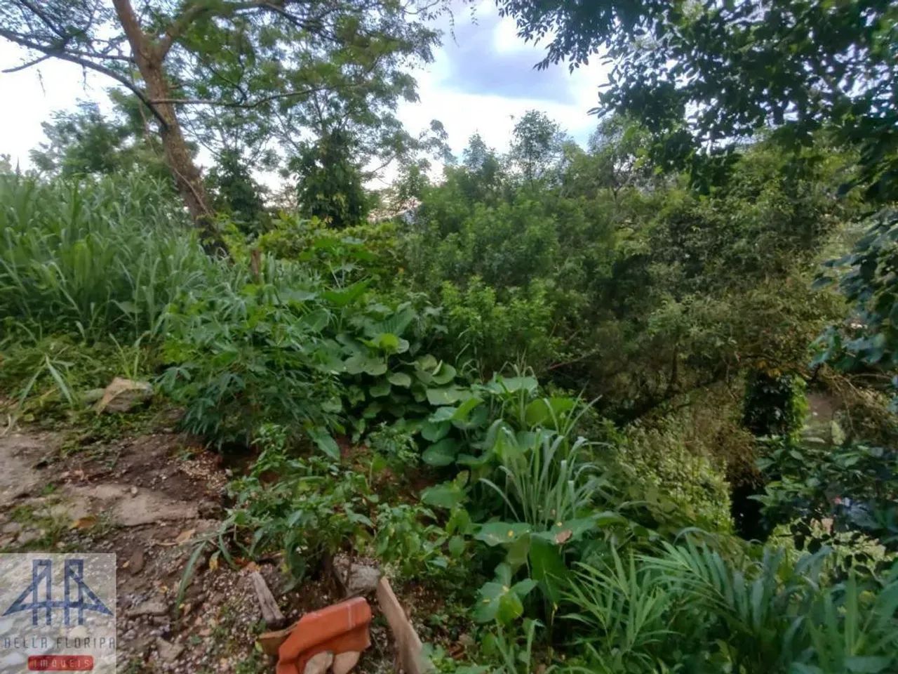 Terreno à venda, 2975 m² por R$ 4.490.000,00 - João Paulo - Florianópolis/SC - Foto 5