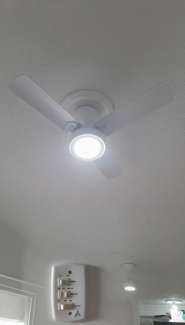 2 Ventiladores de Teto Venti-Delta R$ 400