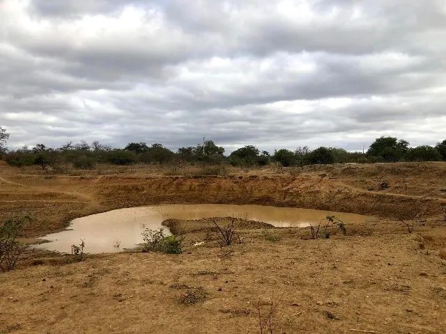Área em Curaça - BA - Foto 2