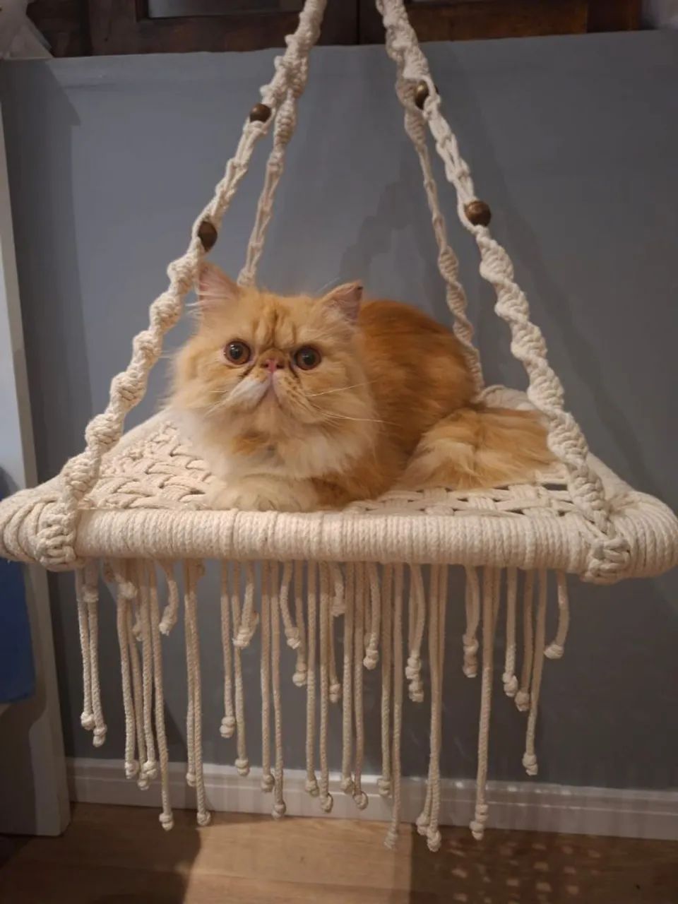 Cama de gato64319324793858120