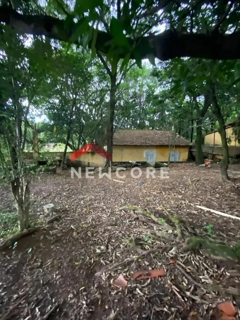 Lote em Avenida Otacílio Negrão de Lima - Garças - Belo Horizonte/MG