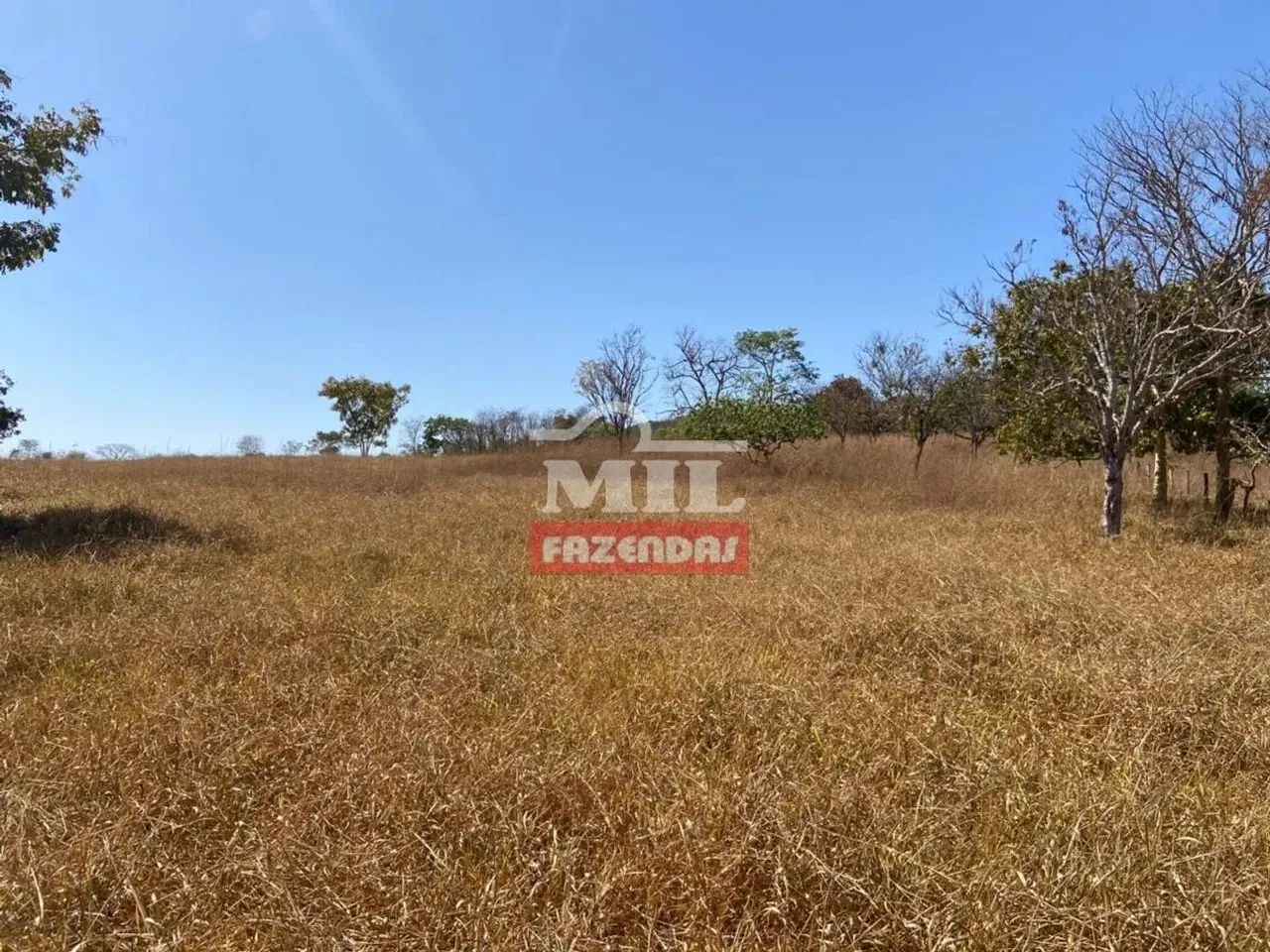 Fazenda 15 Alqueires (72,6 Hectares) Pirenopolis - GO - Foto 8