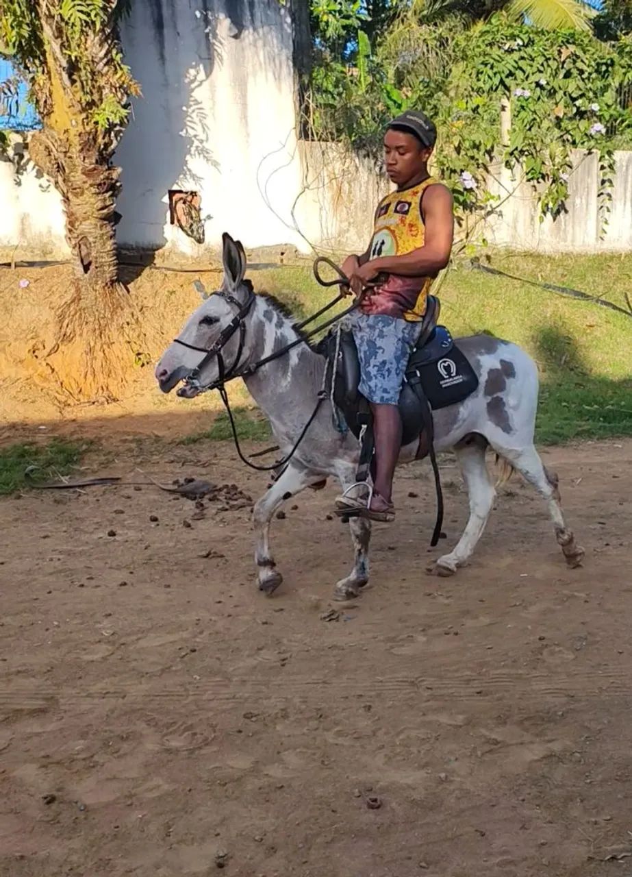 Black fridey - Foto 2