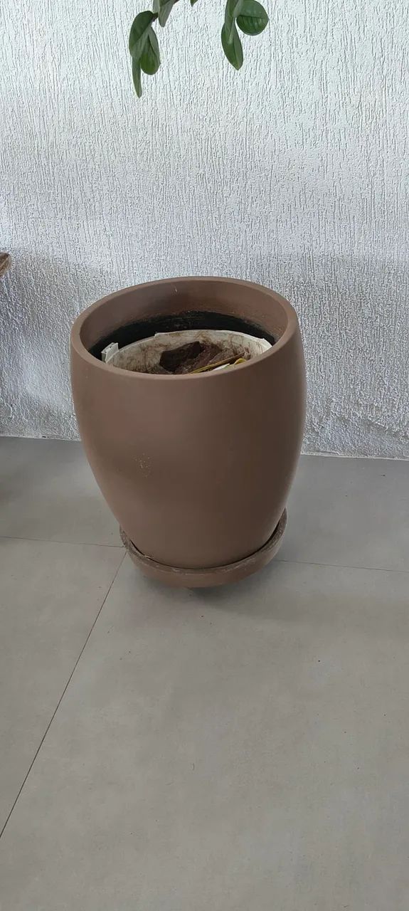 Caqueiro  - Foto 3