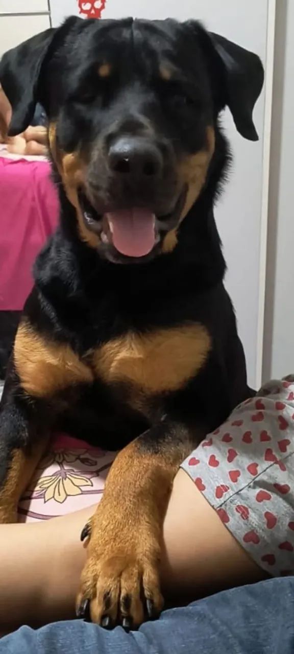 A procura de uma namorada  - Foto 3