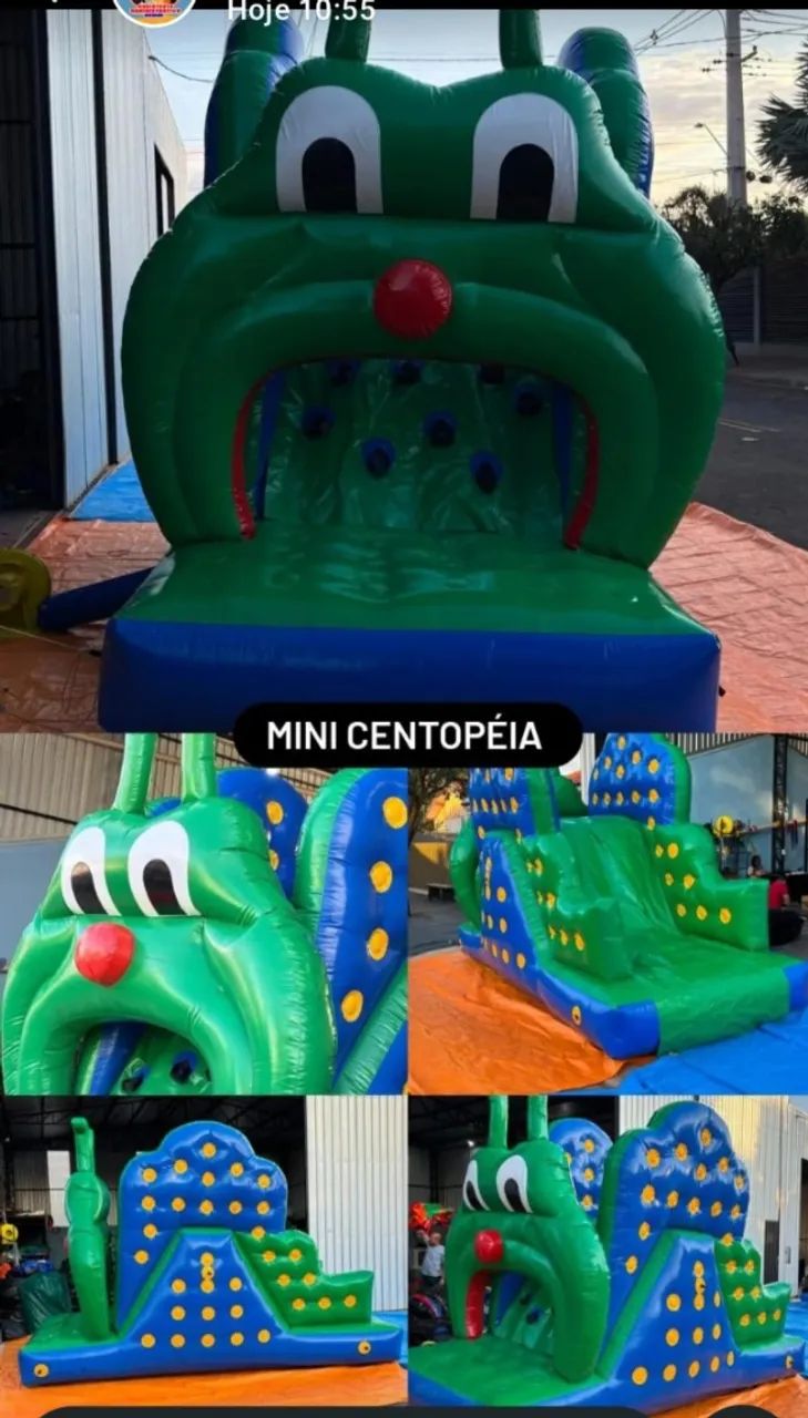 Mini centopéia 