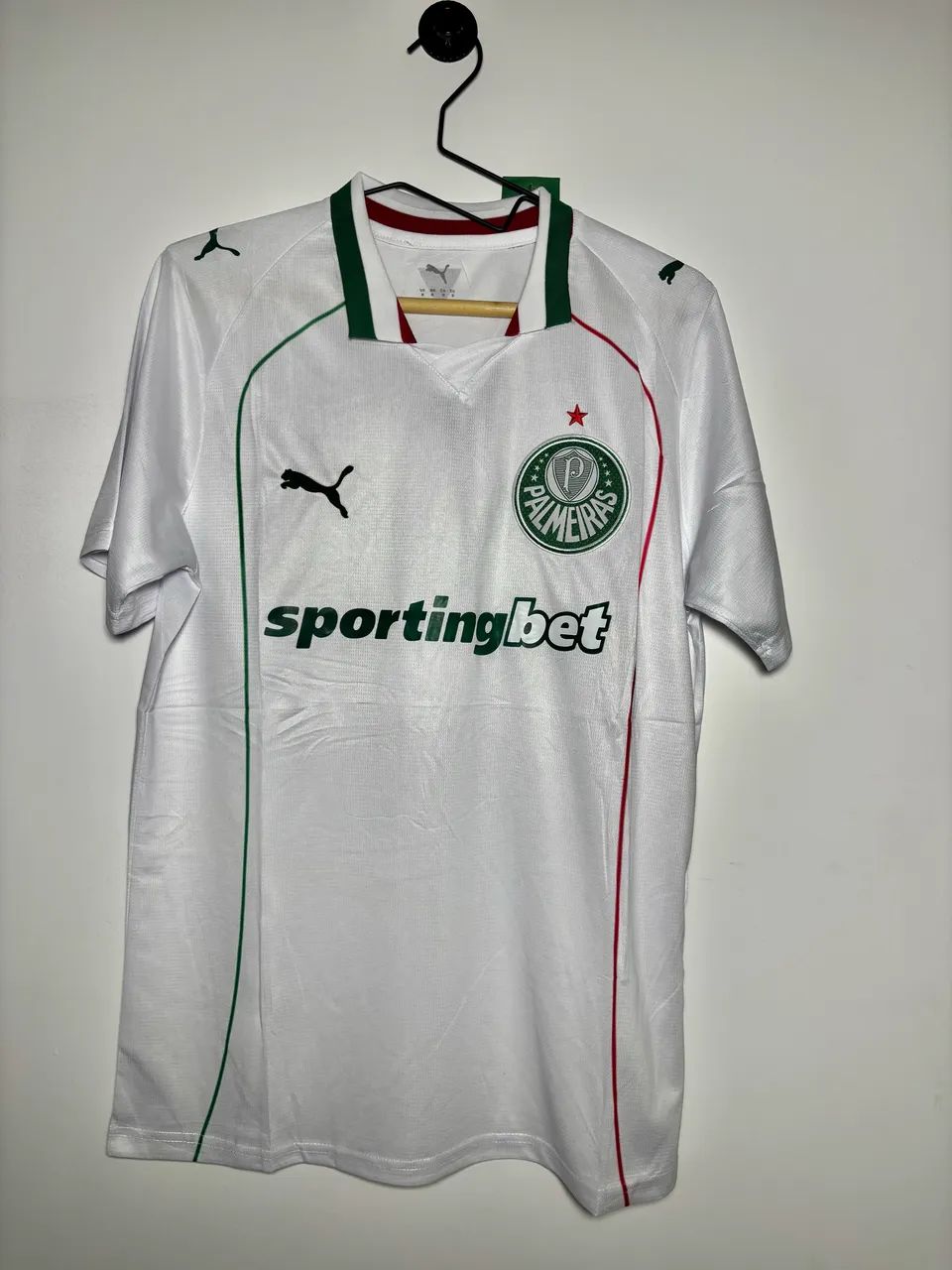Palmeiras 2026 - Foto 5