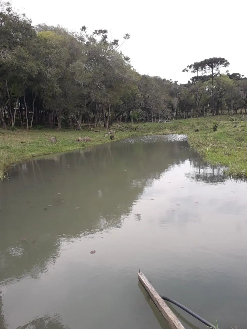 Chacara com casa e tanque peixe