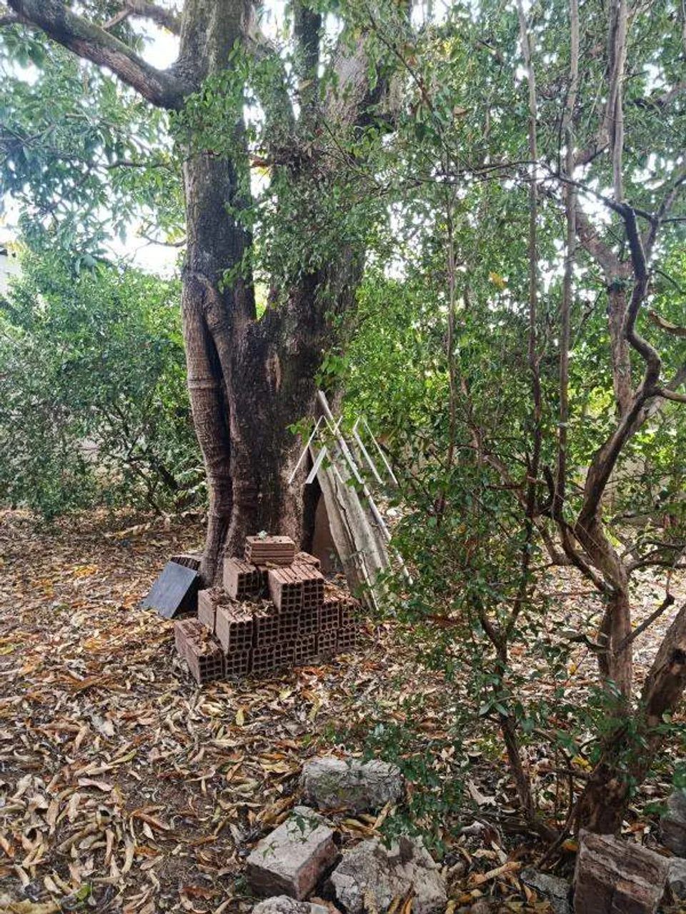 Lote 300 m² à venda no Residencial Morro do Sol em Itaúna/MG - Foto 5
