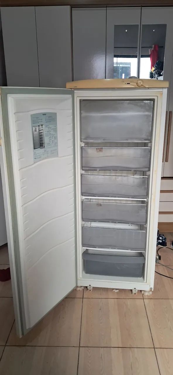 Vendo frizzer - Foto 2