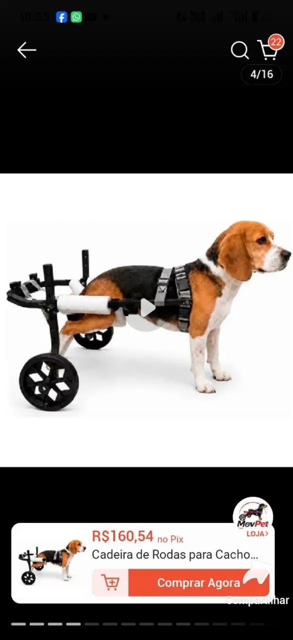 Carrinho para cachorro ? - Foto 2