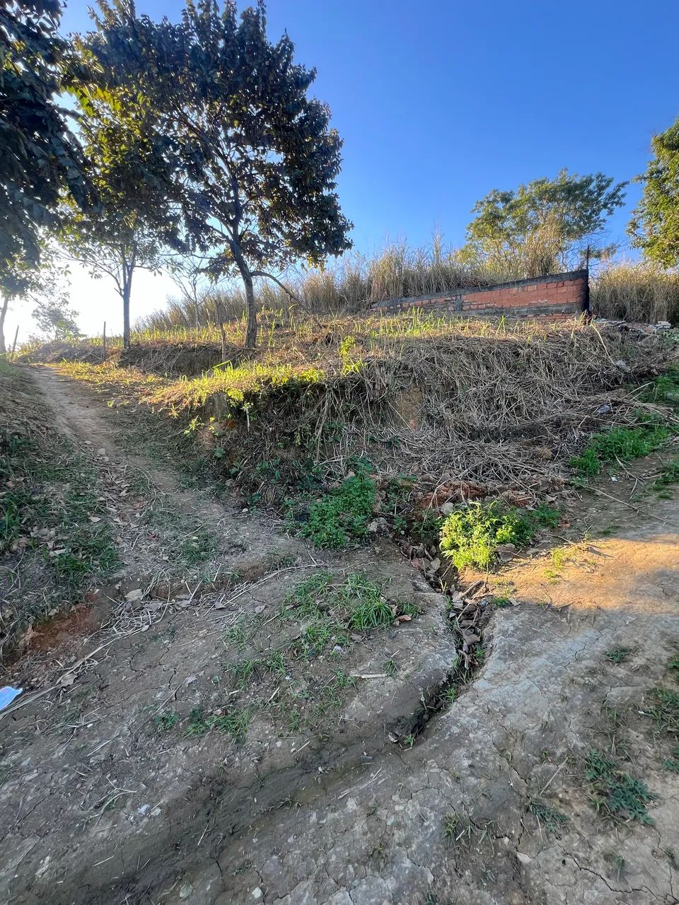 Terreno  - Foto 3