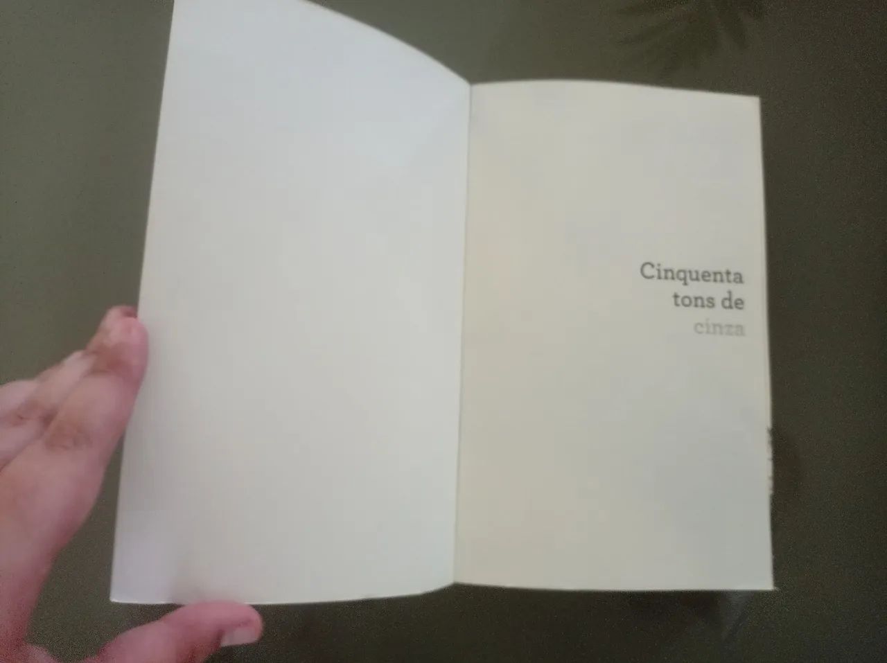 Cinquenta Tons de Cinza - capa comum - Foto 4