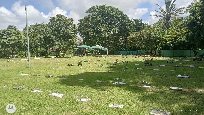 Venda de Jazigo