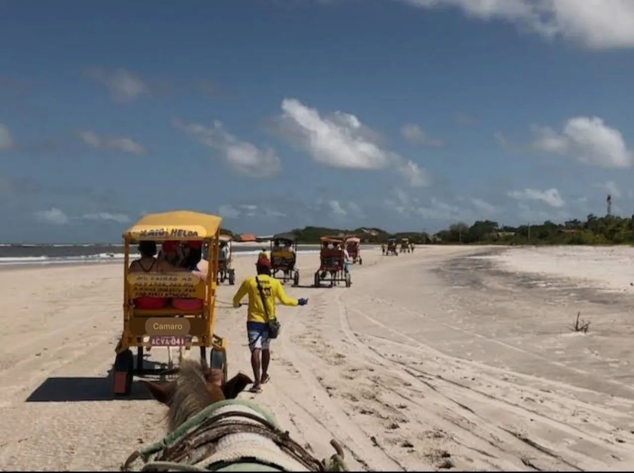 3 DIAS ALGODOAL ? ?  - Foto 4