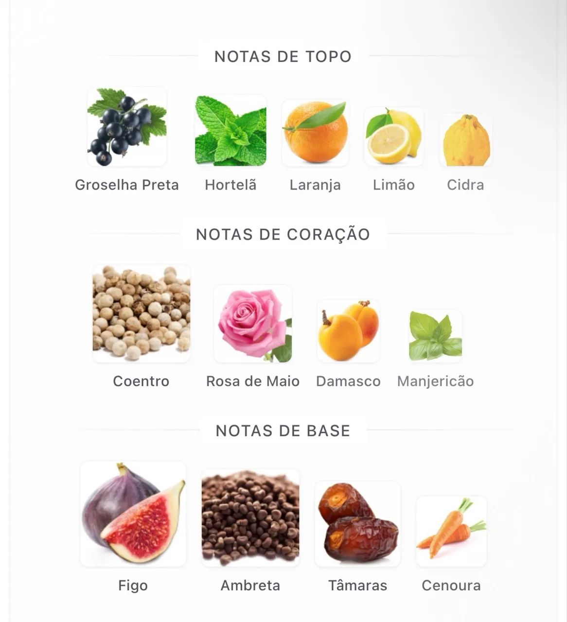 Perfume Elliur - Bidaya Parfums - Foto 3