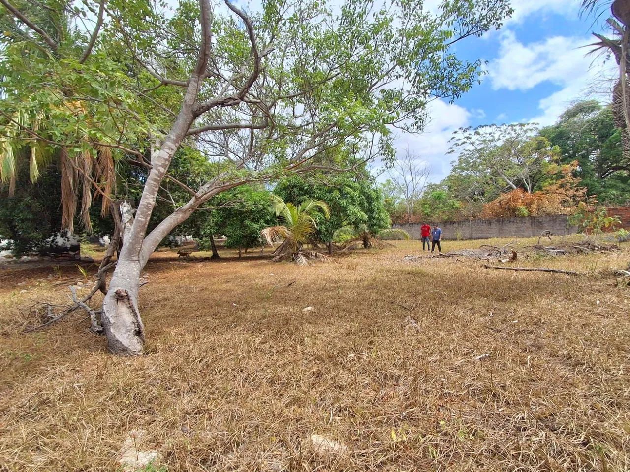 Terreno em Avenida  - Foto 2