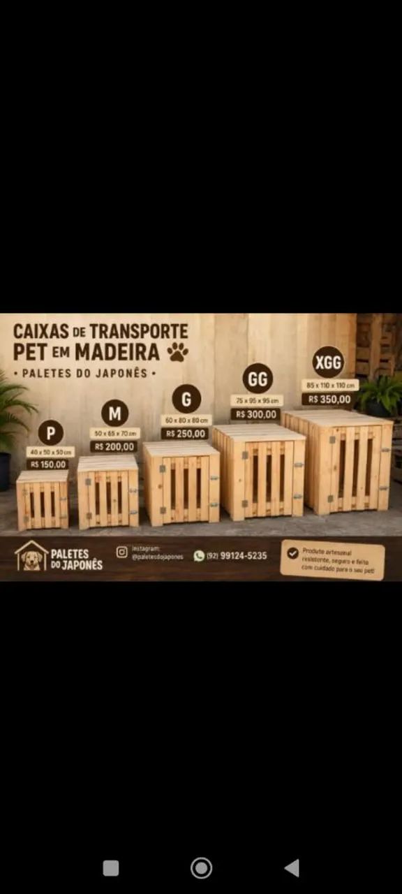 Caixa de transporte Pet viagem - Foto 2
