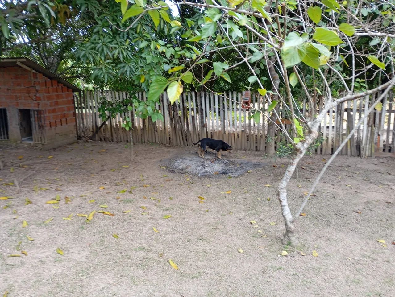 Chácara no bairro Irineu serra  - Foto 3