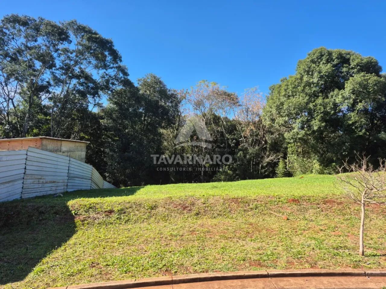 Terreno Condomínio em Ponta Grossa - Foto 4