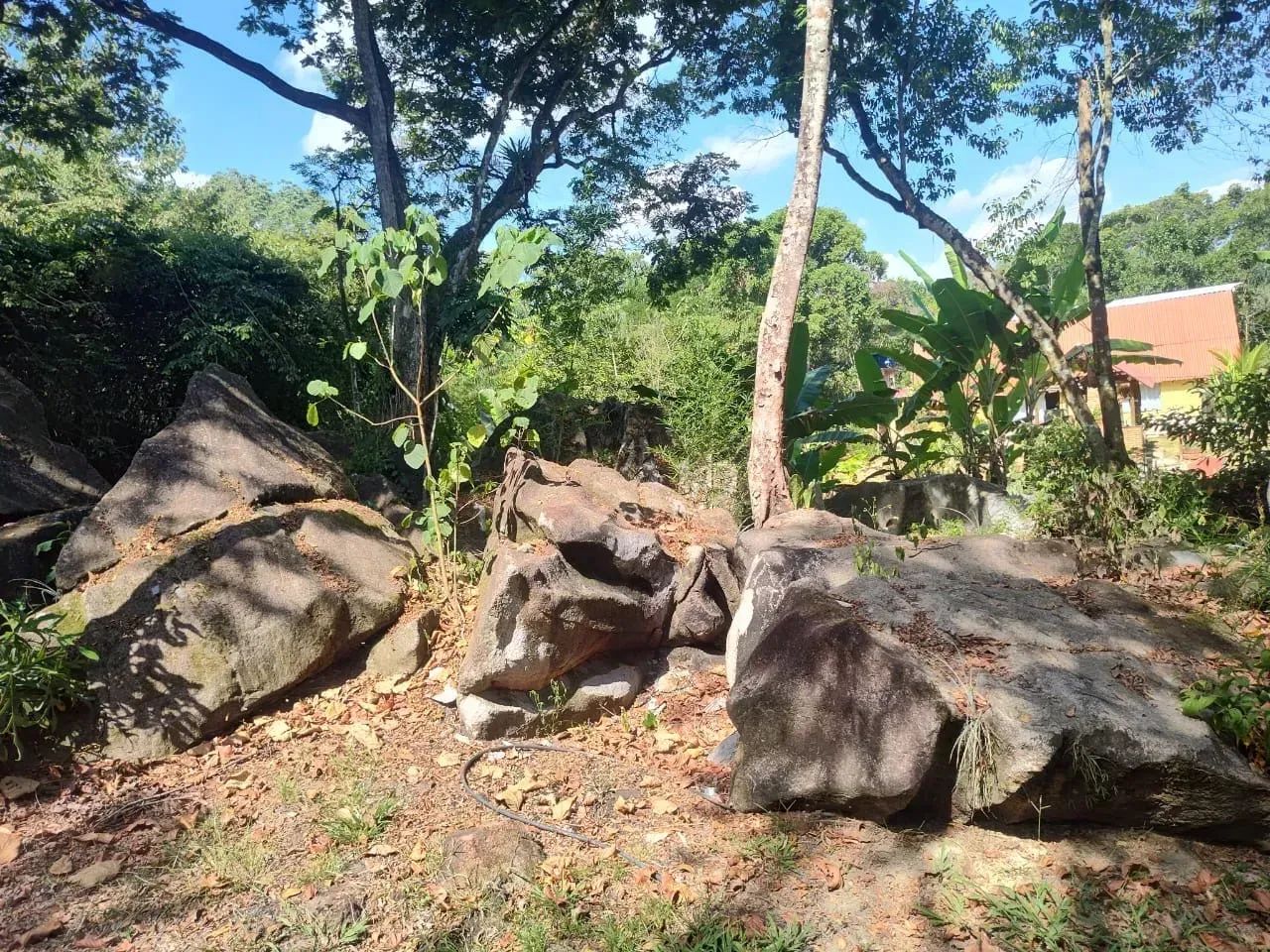 Sítio a venda TINGUÁ estrada da Serra - Foto 3