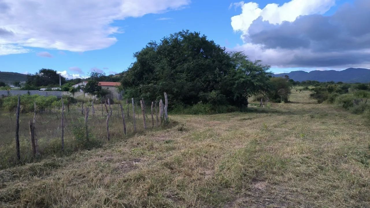 Vendo dois lote na catuaba  - Foto 4