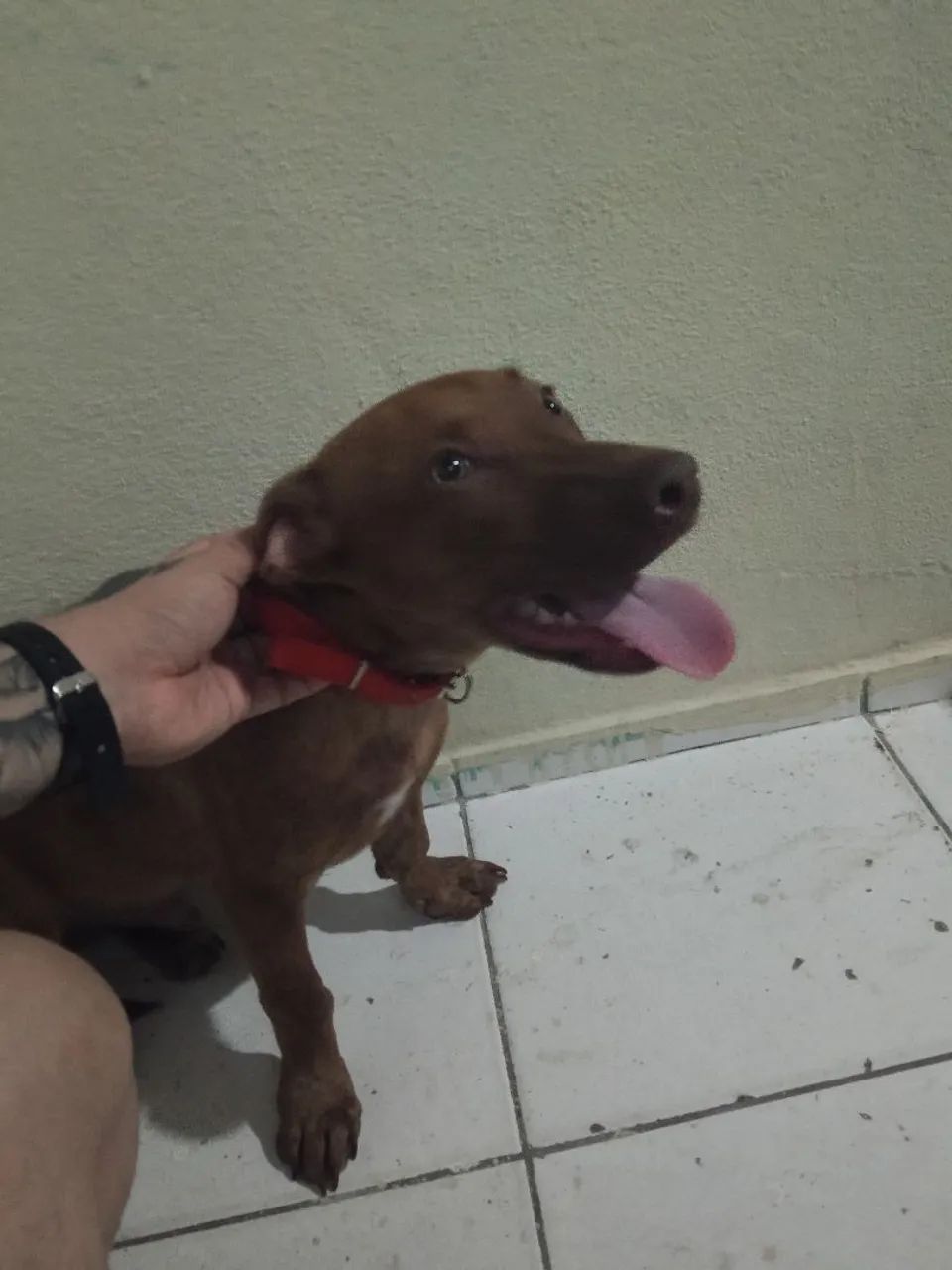 Doação  - Foto 4