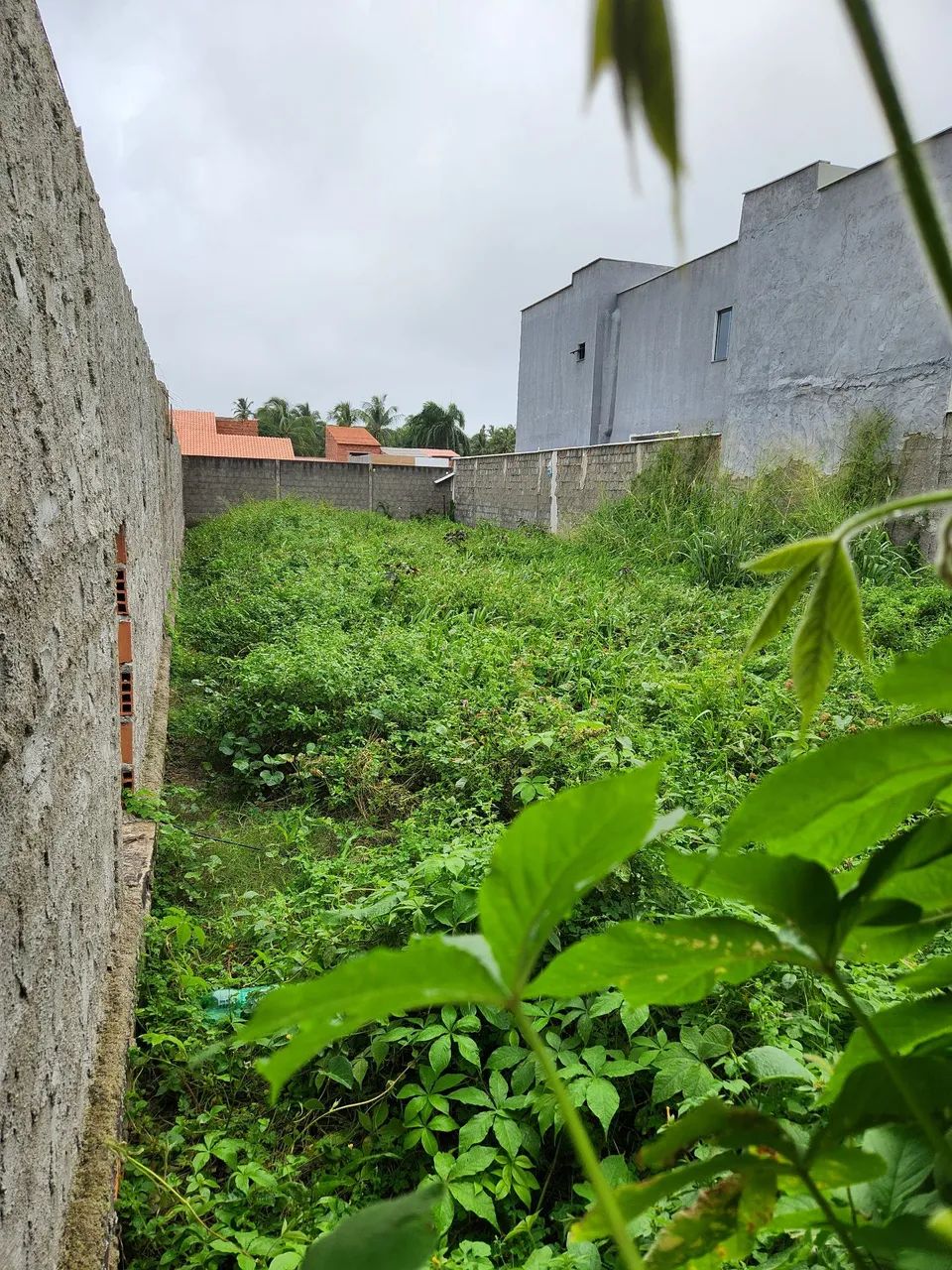 Vende-se lote na Barra Nova - Marechal Deodoro-AL - Foto 3