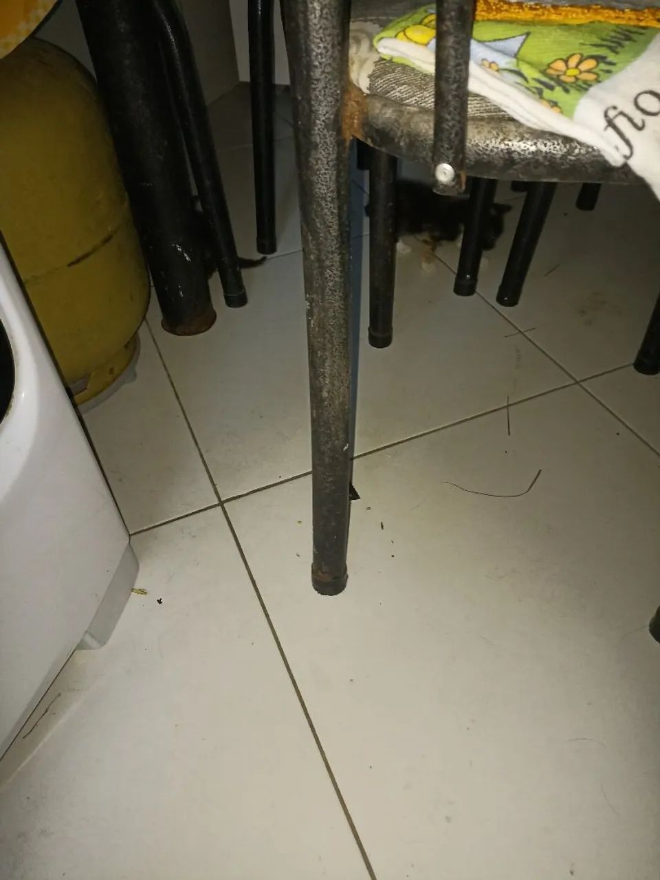 Doação 