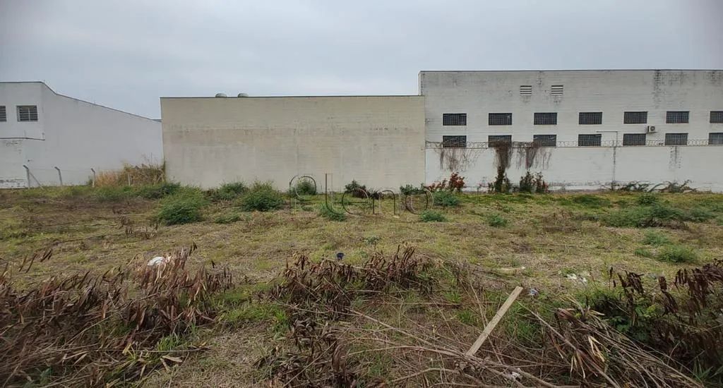 Terreno comercial à venda em Campinas, Parque Via Norte, com 250 m² - Foto 3