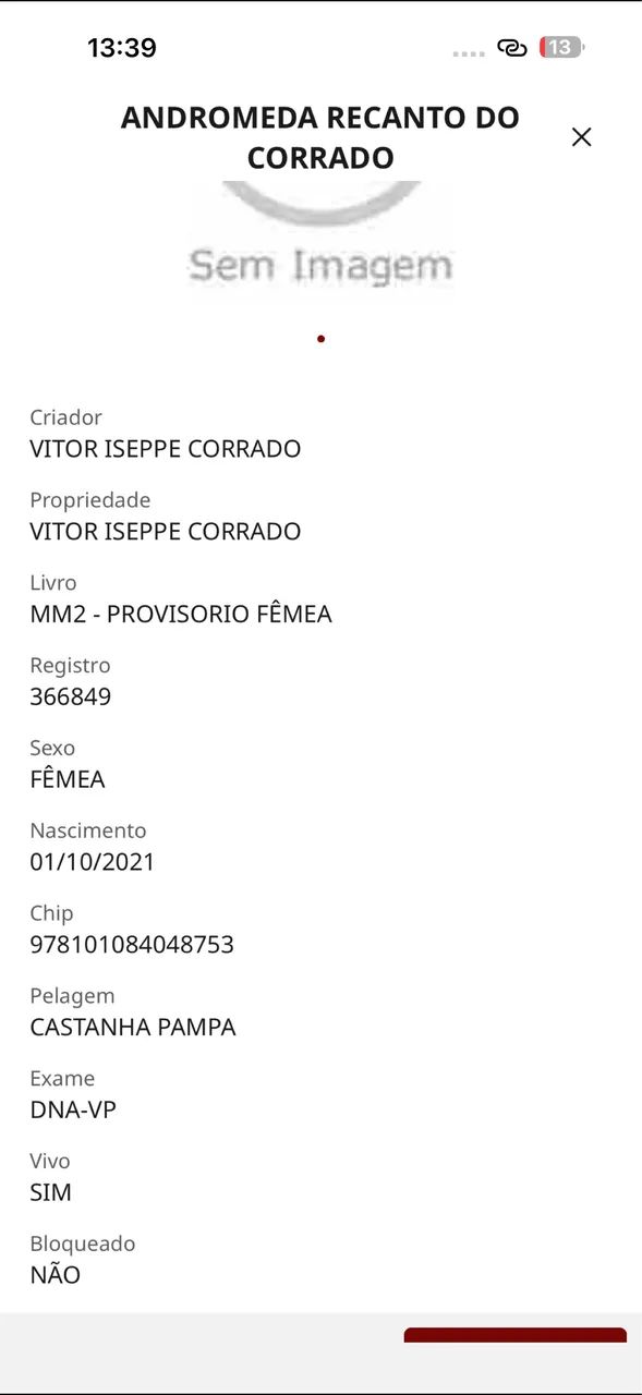 Egua MM, PAMPA  - Foto 2