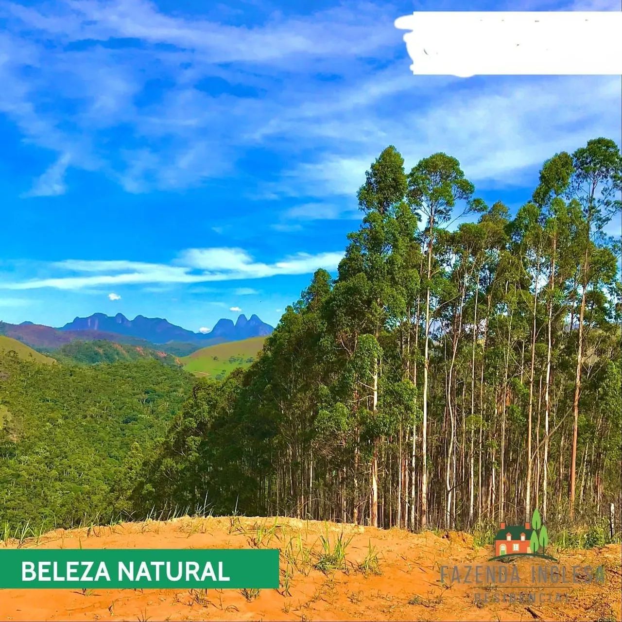 Foto - Teresópolis - Agriões