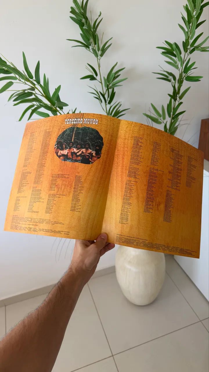 Disco de vinil LP Ney Matogrosso - Bandido - Noize + revista - Foto 4