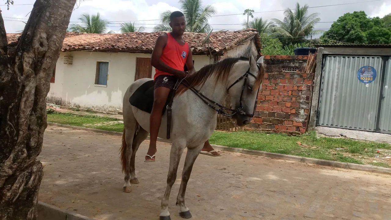 POTRA MM  DE PICADO GENUÍNO - Foto 4