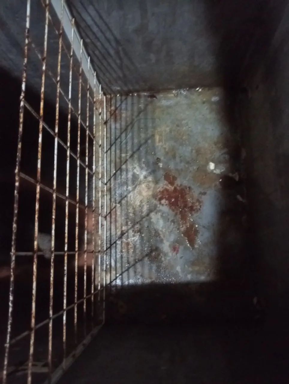 Vende se freezer horizontal  - Foto 4