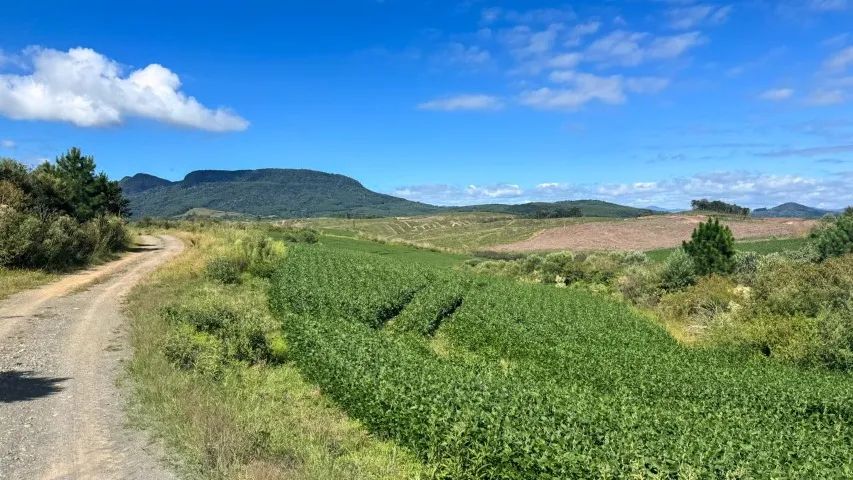 Fazenda com 101 hectares - Santa Catarina - Foto 5