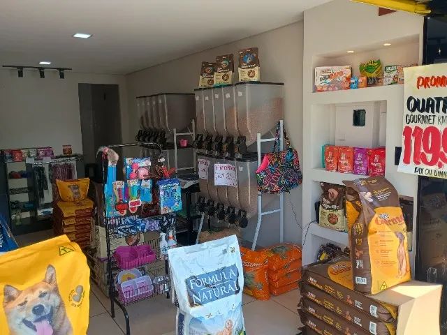 Venda - Foto 4