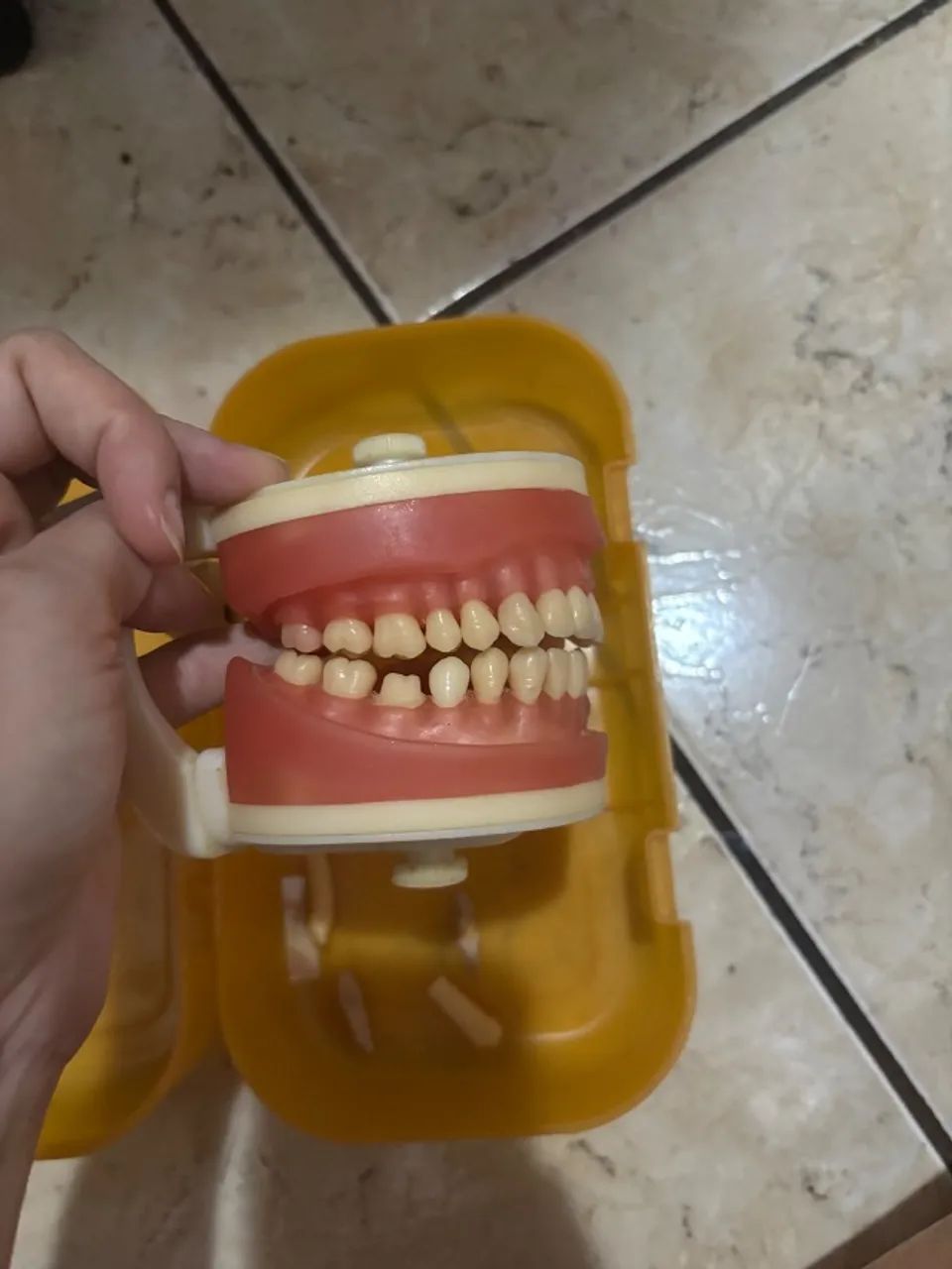 Manequim dentistica  - Foto 4