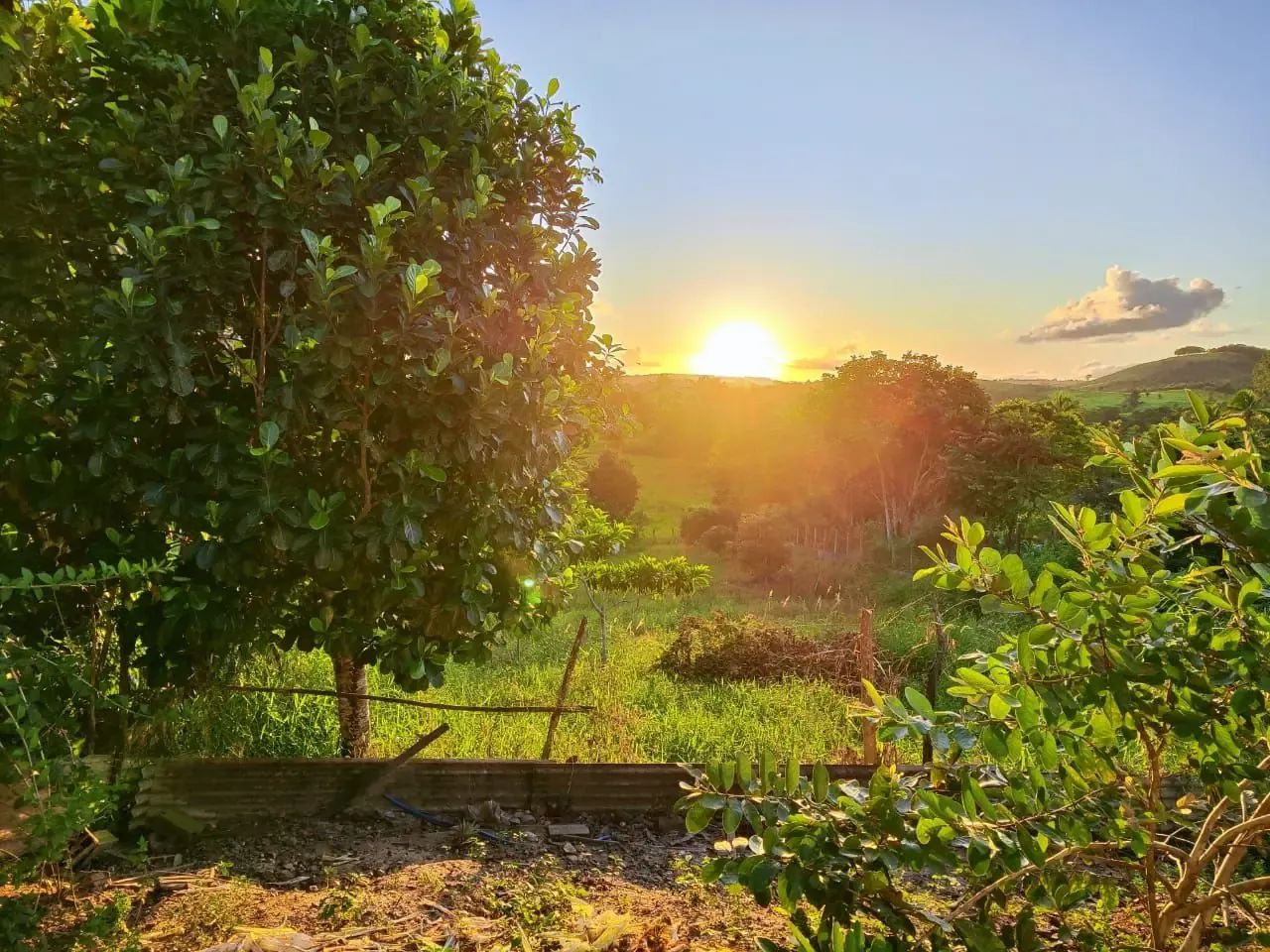 Áreas à venda, CENTRO, Itaporanga d'Ajuda, SE - Foto 3