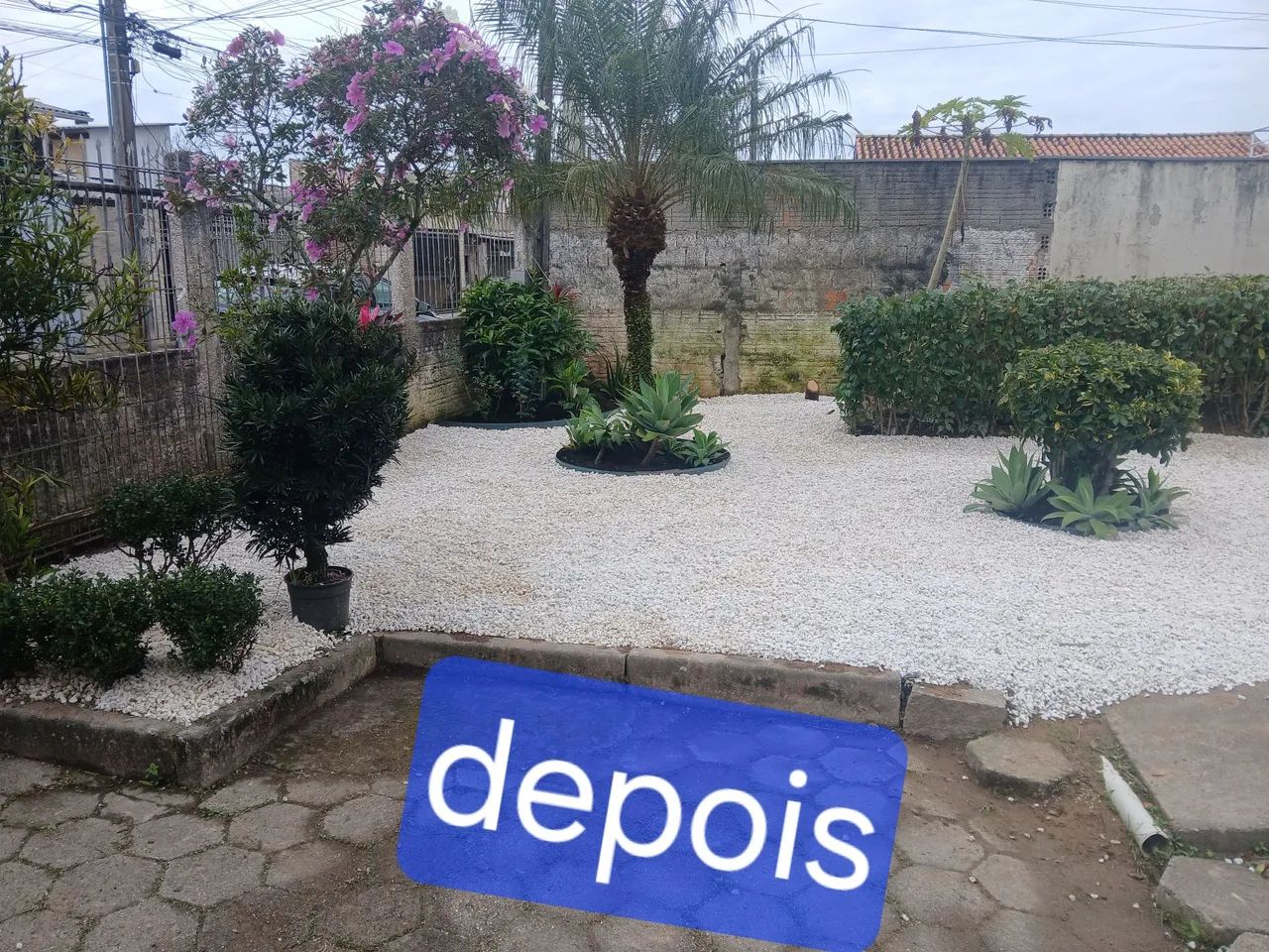 Jardinagem e paisagismo em geral  - Foto 3