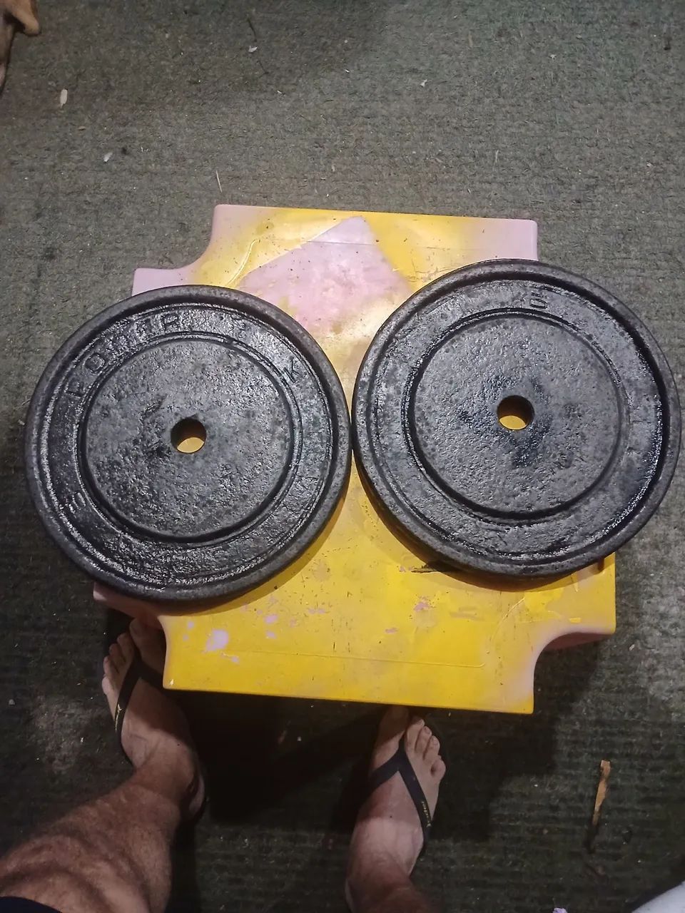 Par de anilhas de 10 kg