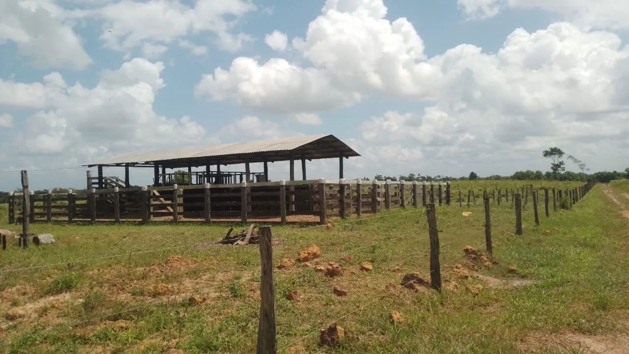 Fazenda em Santa Maria  - Foto 5
