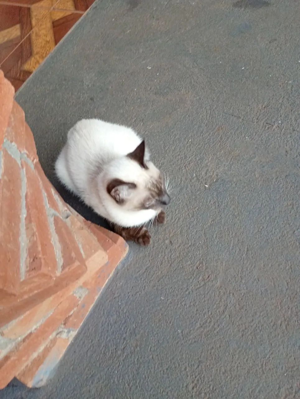 Doação 