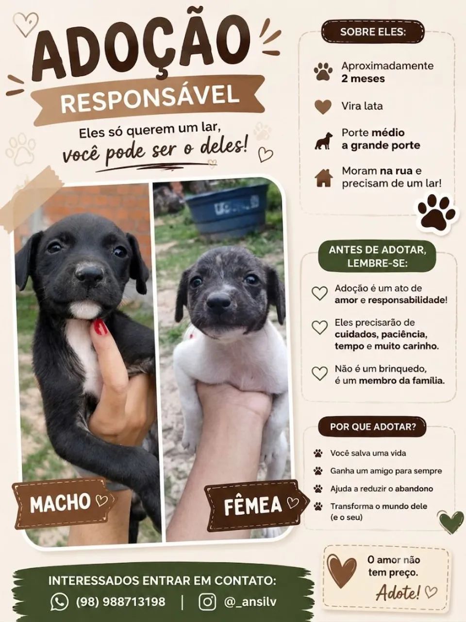 Doação de cachorro 