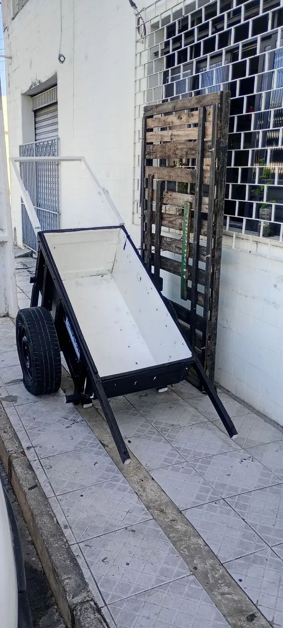 Carro de Geladeira 