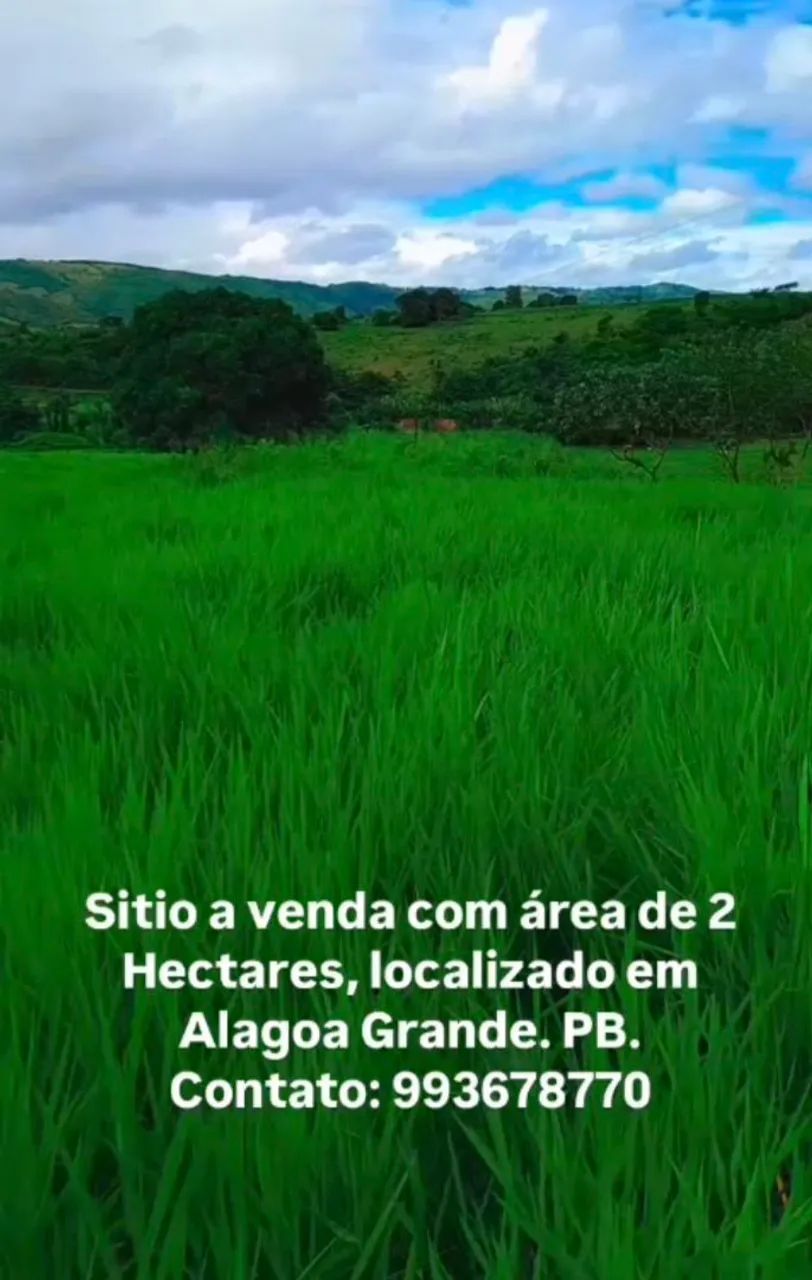 Sítio Disponível em Alagoa Grande 