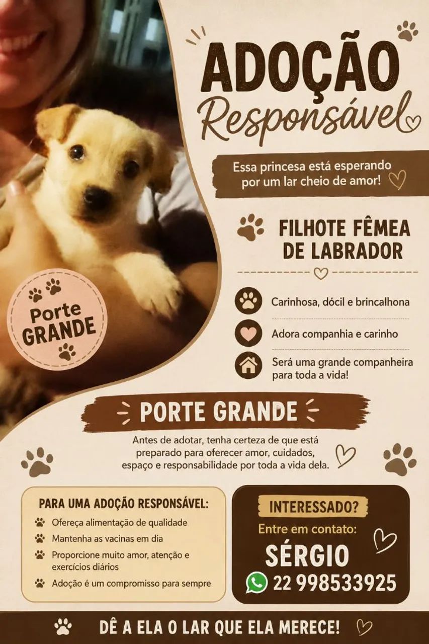 Doação de cachorro - Foto 3